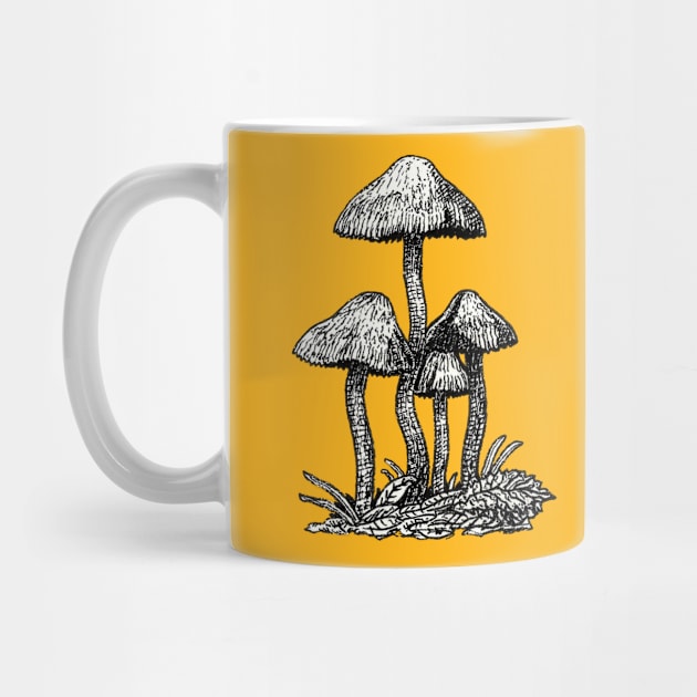 Wild mushrooms by Bioshart